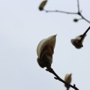 마재근린공원 이미지