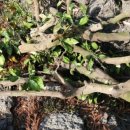 우현농장 이미지