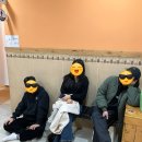 술마실고양 이미지