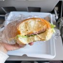 497 | [대한항공 인천→델리] 대한항공 인도 델리 직항 KE497, B787-9 드림라이너 좌석지정 추천, 기내식...
