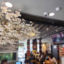 보람빌딩 | 서면 점심 웨이팅, 기다린 보람이 있었던 얼큰닭칼국수와 닭곰탕 후기