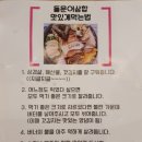 낭만상회 이미지