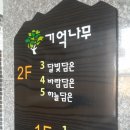 기억나무펜션 네이버블로그
