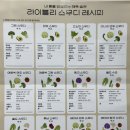 코코 코리아 이미지