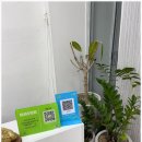 네일모해 네이버블로그