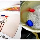 내일두뽑기왕