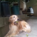 연제구-017 이미지