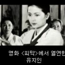 영화 &lt;피막 &gt; 상영 - 6월 21일 한국영상자료원 이미지