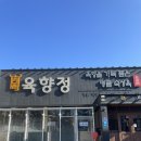 미미야미 | [천안] 서북구 이베리코 숙성육 맛집 육향정 후기