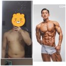 펄슨피티 이미지