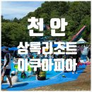 상록태권도 | [천안상록리조트아쿠아피아 / 얼리버드로 다녀온 내돈내산 솔직 후기]