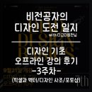 벡터 | 디고디원찬 디자인 기초 강의 3주 차 후기/ 픽셀 vs 벡터, 생성형 AI 실습까지(ft.디자인 이론과 포토샵...