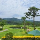 베네치아컨트리클럽 이미지