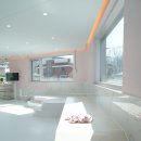 웰컴댕댕 이미지