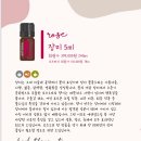 터치미인