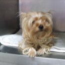 성서초교 이미지