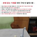 싱가폴 머라이언과 도자기 기린 이미지