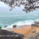 즐거운밥상 태양광발전소 | 아주 사적인 이야기: 묻지 마, 관광처럼 (feat 킴스멘탈클리닉)