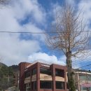 평화마루 | 르무통산책회 중도포기 - 르무통 마루 주문 다 받다가 갑자기 끊고 줄 맨 뒤로 보내는 곳 솔직후기