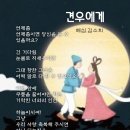 견우직녀 Daum카페