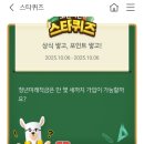 스타버니 이미지