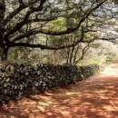 삼도제주 이미지