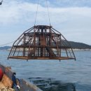대청도바다수산 - 옹진군 대청로 13 | 대청도바다수산