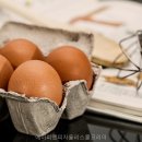 에이피엔피자욜리스쿨