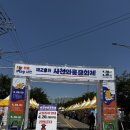 친절직업안내소 | 봄축체 사천 와룡문화제 개막! 체험거리 즐길거리 가득한 현장 후기 / 키자니아 직업체험 무료 타로까지