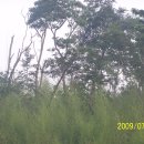 고향황토집 이미지