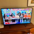 [일본 홋카이도 가을 여행] 노보리베츠 호텔_노보리베츠 다이이치 타키모토칸 서관/다이이치 타키모토칸...