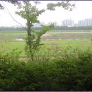 올레길 하천형 3코스 이미지