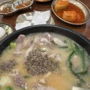 경성빌딩 | 수지 맛집 수지구청역 국밥 맛집 옛날경성순대국 수지구청역점 후기