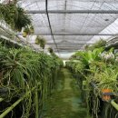 후계자농장 이미지