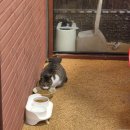 숯양두마리치킨 | 제주 함덕 밤바다, 숯불향 치킨에 완벽하게 녹아들다! 숯양두마리치킨 솔직 후기