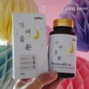 (주)다인내추럴