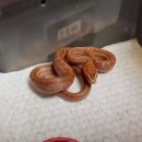 에담하우스 이미지