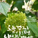 원예공감 이미지