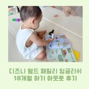 디즈니 월드 패밀리 잉글리쉬 미친패키지(DWE) 18개월 아기 아웃풋 후기(+지사 스터디)