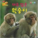 재주많은원숭이