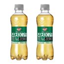 진저 이미지