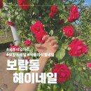 정신자석 - 용산구 청파로 91 | 헤이네일 | 세종에서 찾은 감성 네일샵 자석젤네일 후기