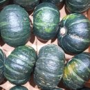 건우농장 이미지