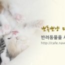 뽀독 뽀독 이미지