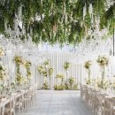 토브하우스 이미지