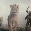 Mufasa The Lion King 이미지