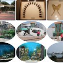 엑스포카센터 이미지