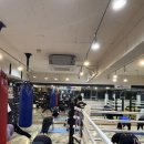 The Boxing Lab(더복싱랩) | 복싱장 은 THE BOXING LAB