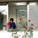 남해-147 이미지