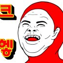 동물병원알루 이미지
